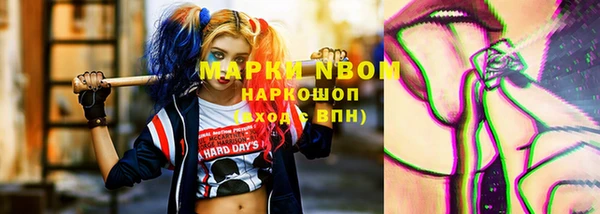 apvp Алзамай