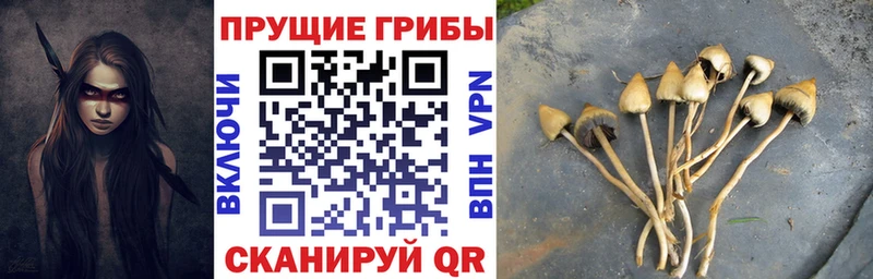 Галлюциногенные грибы прущие грибы  купить наркотик  Жердевка 